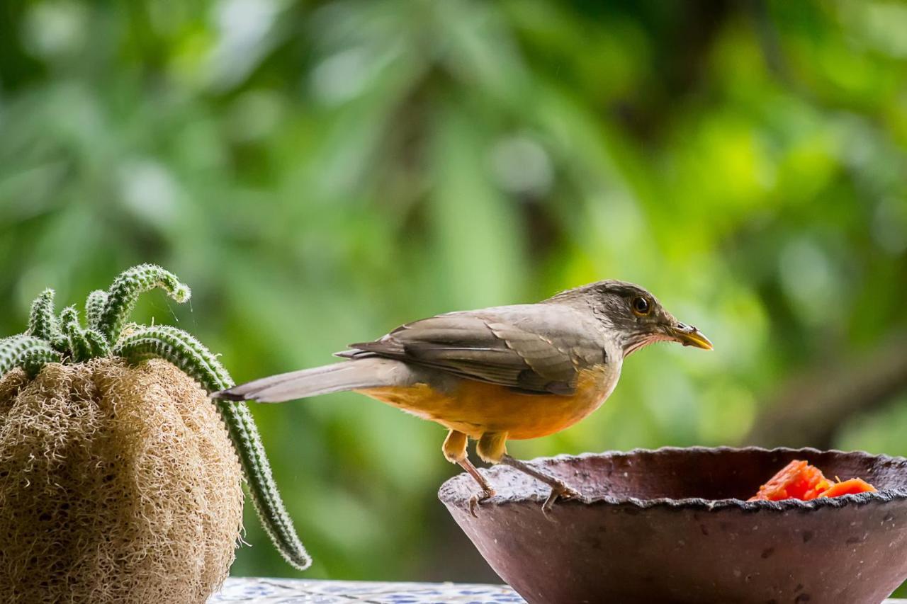 Pousada Tatu Do Bem Bed and Breakfast Lencois Esterno foto